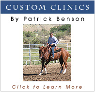 Custom Clinics